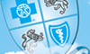 We made having Blue Cross Blue Shield a luxury.